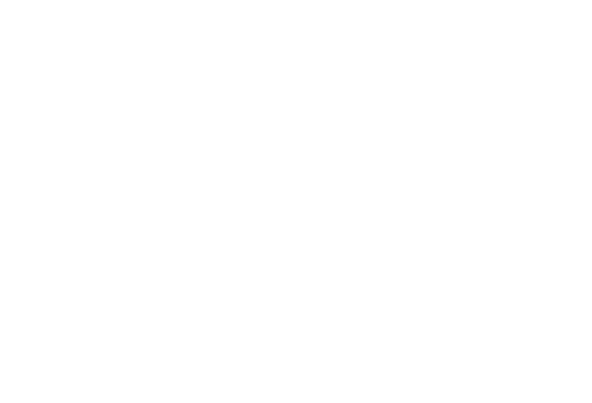 LOGO PAVILION BIJELI 2