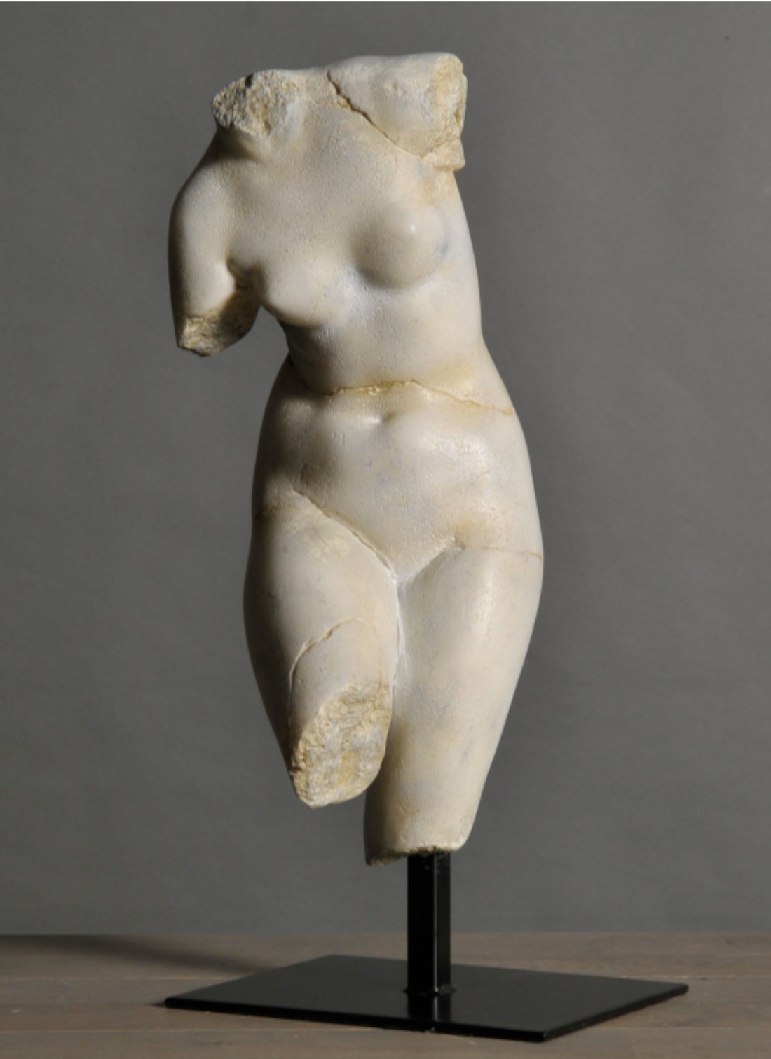 Bista Venere 01