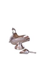 20260309 150648 Photoroom