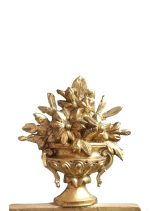 20260206 113735 Photoroom