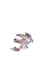 20260406 172434 Photoroom